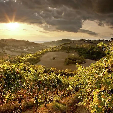 Nyaraló Cozy Farmhouse In Hills; With Rustic Charm Near Adriatic Sea Montecarotto